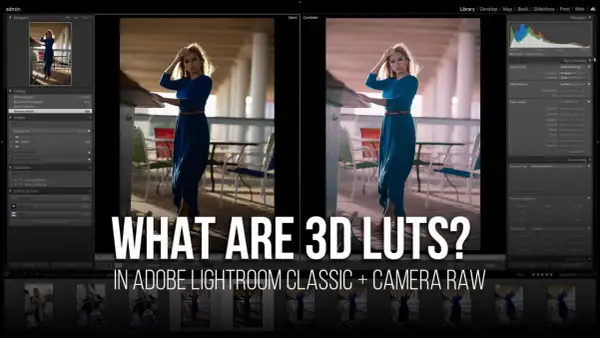 Comparaison avant/après d'une photo dans Lightroom, montrant l'effet d'un lut photoshop.